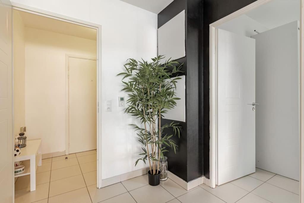 Appartement Cosy Et Chic มงต์เปอลิเยร์ ภายนอก รูปภาพ